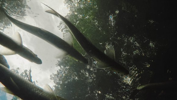 Your Favorite Stories from 2025