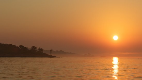 Marine Heatwaves 101