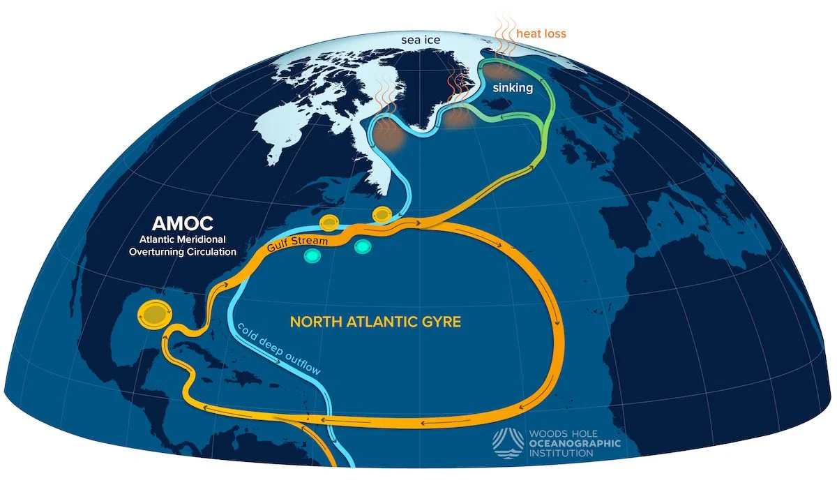 WHOI AMOC graphic