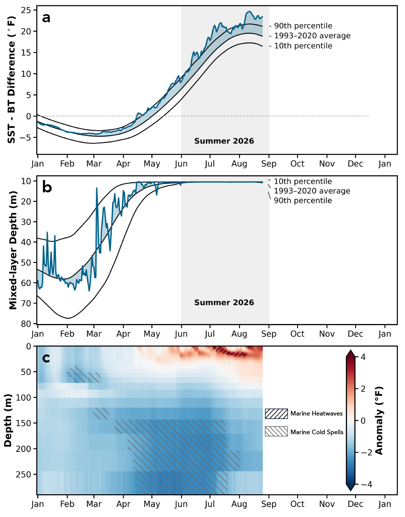 Figure 5. Seasonal evolution of thermal stratification and vertical temperature anomalies in the Gulf of Maine through summer 2026.