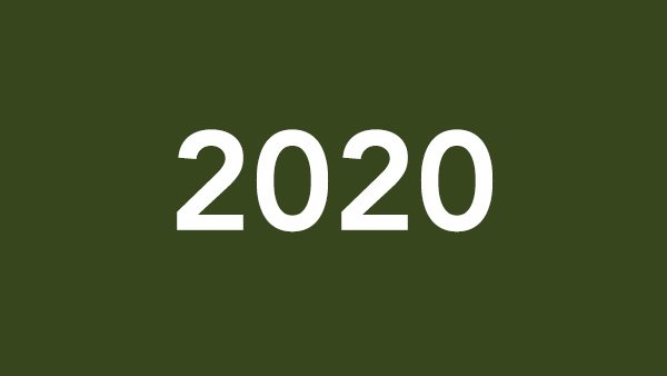 A basic graphic for the year 2020.