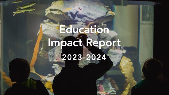 2023 – 24 Education Impact Report: Building Integrated Learning Experiences
