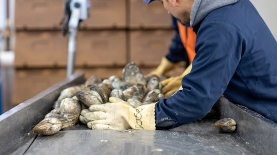 The NSF Seafood Engine in New England wins $15M U.S. National Science Foundation award to strengthen fisheries and aquaculture