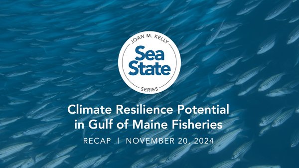 Graphic for a sea state re cap blog.