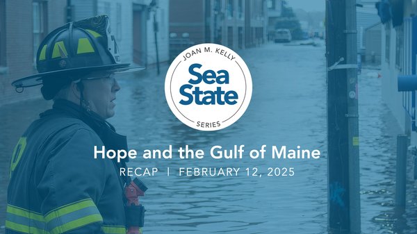 A graphic featuring a firefighter at a flood scene.