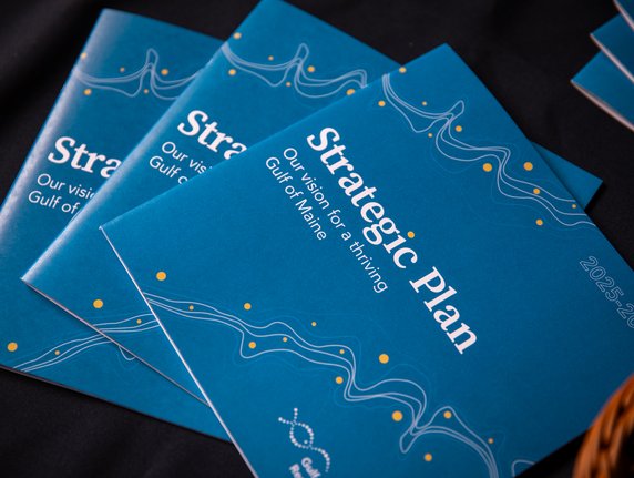 Shaping Tomorrow, Together: Gulf of Maine Research Institute Announces New Five-Year Strategic Plan