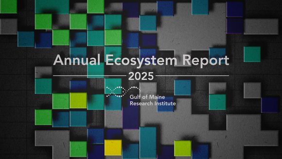 2025 Casco Bay Ecosystem Monitoring Report