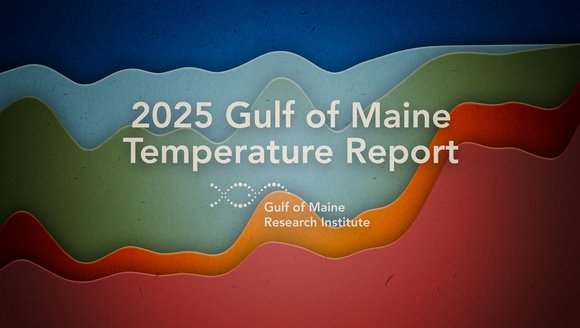 2025 Gulf of Maine Temperature Report