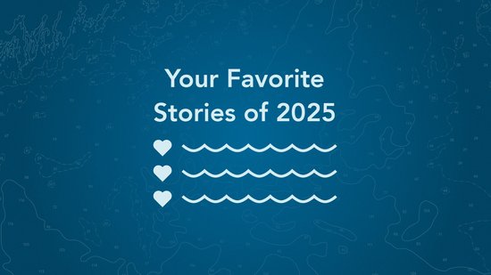 Your Favorite Stories from 2025