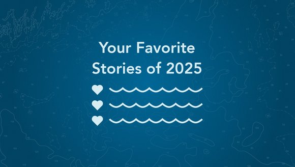 Your Favorite Stories from 2025
