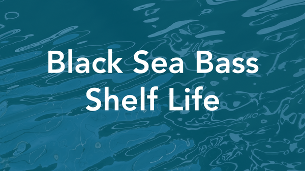Black-Sea-Bass-Shelf-Life-thumbnail