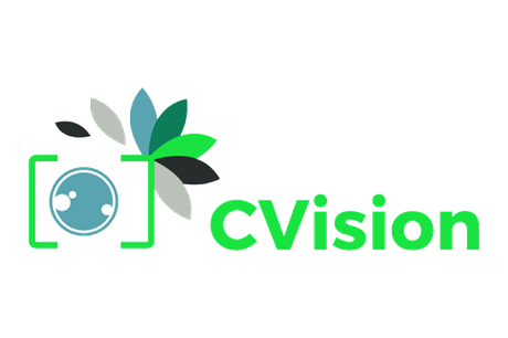 The CVision Logo