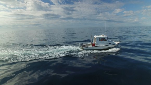 A Summer of Science: Field Season Preview