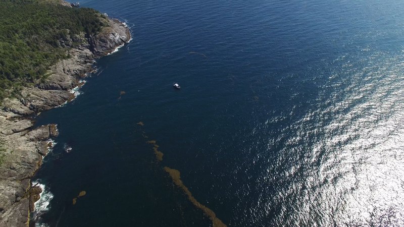 Rocky outcroppings into the Gulf of Maine shot from above with a drone.