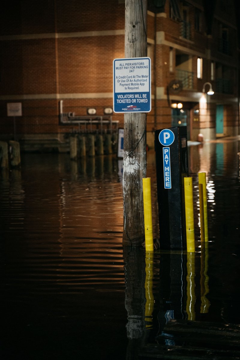 Parking meters sit in high tide waters.