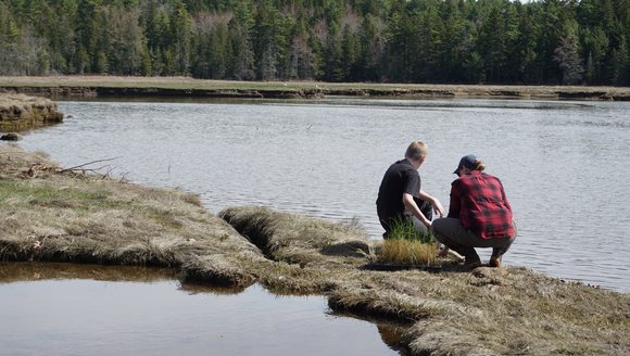 Community Science Wrapped 2025