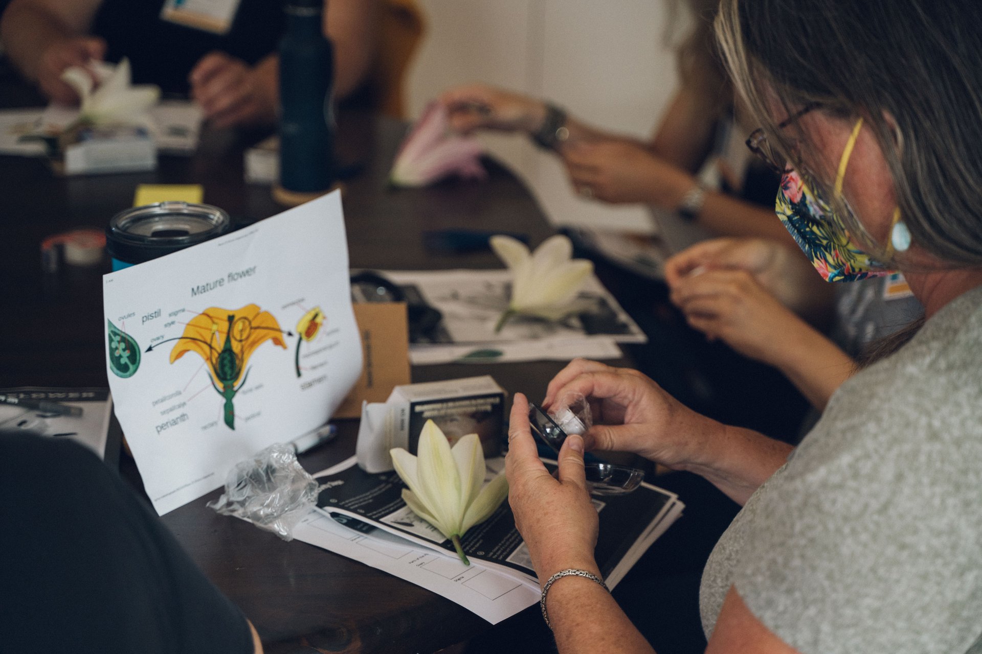 A masked woman is holding a flower and looking at a diagram of that flower.