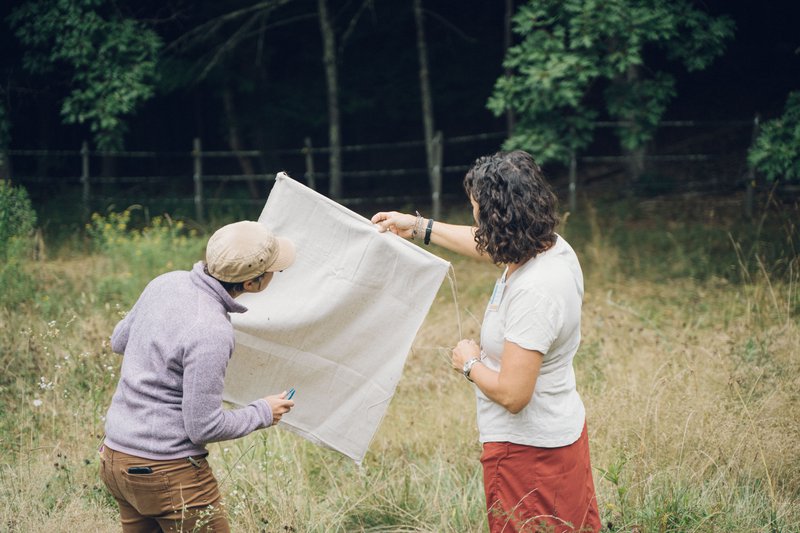 Two women hold up a rectangular piece of white fabric in a grassy meadow.
