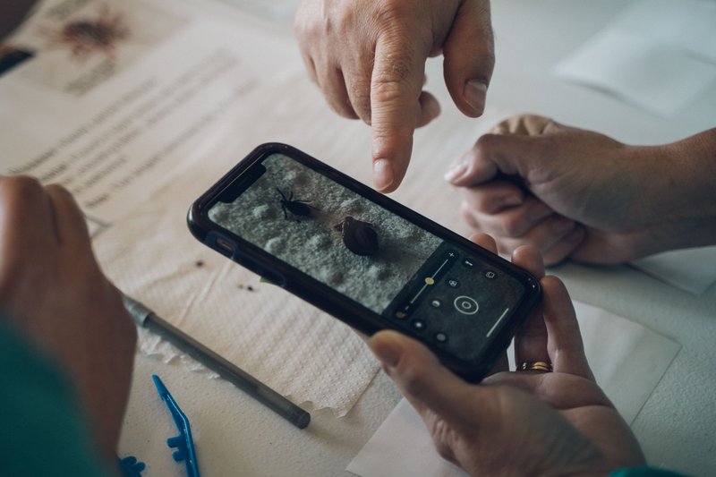 Hands point to a tick on a cellphone.