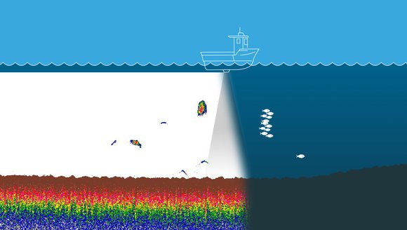 Gulf of Maine, Explained: Fisheries Acoustics