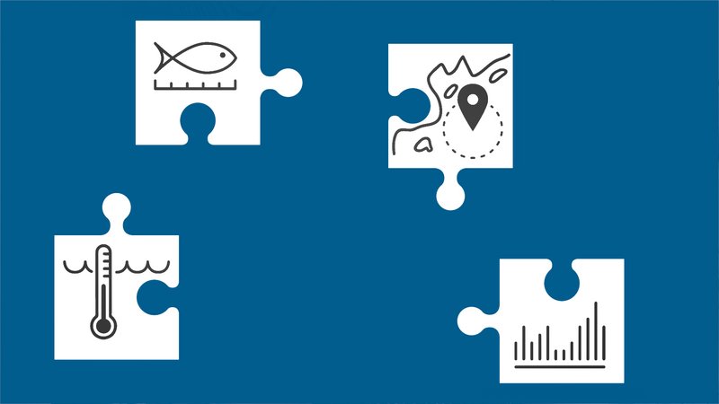 A blue background with white puzzle pieces on it, and each puzzle piece has an image drawn in black on it, including a simply drawn fish, a thermometer, and more.