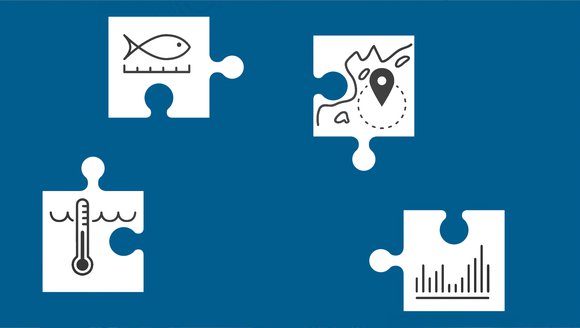 Gulf of Maine, Explained: Ecosystem Modeling