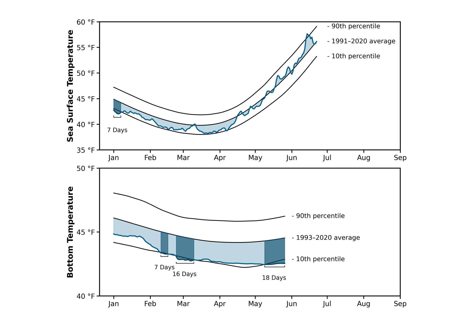 Daily SST and BT spring 2026