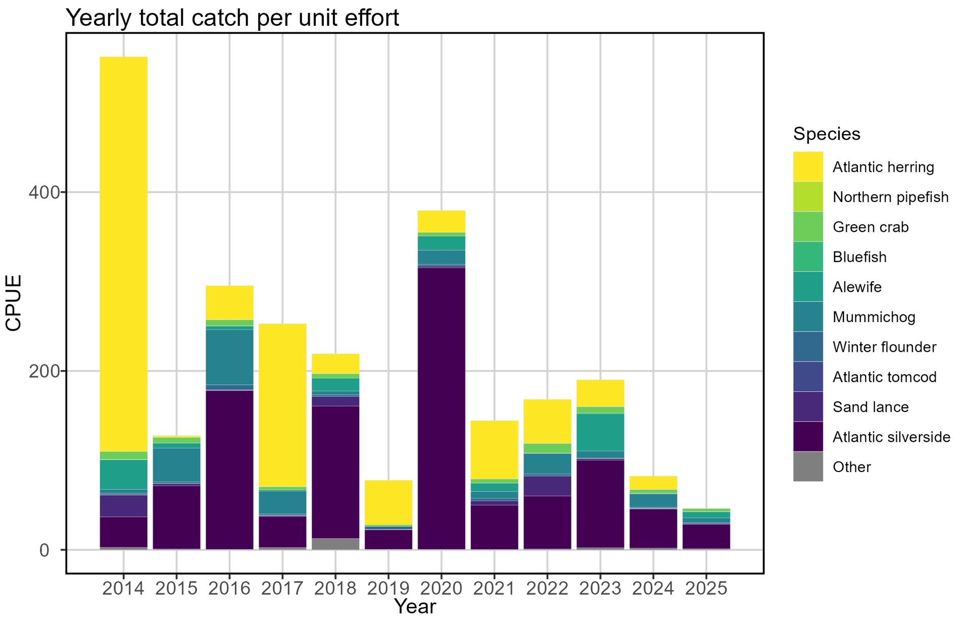 Figure 3. Catch per unit effort (CPUE) per year. Colored portions represent the CPUE of individual species, with species other than the 10 most commonly-caught grouped as “Other.” Overall bar heights represent CPUE for total catch per year, regardless of species.