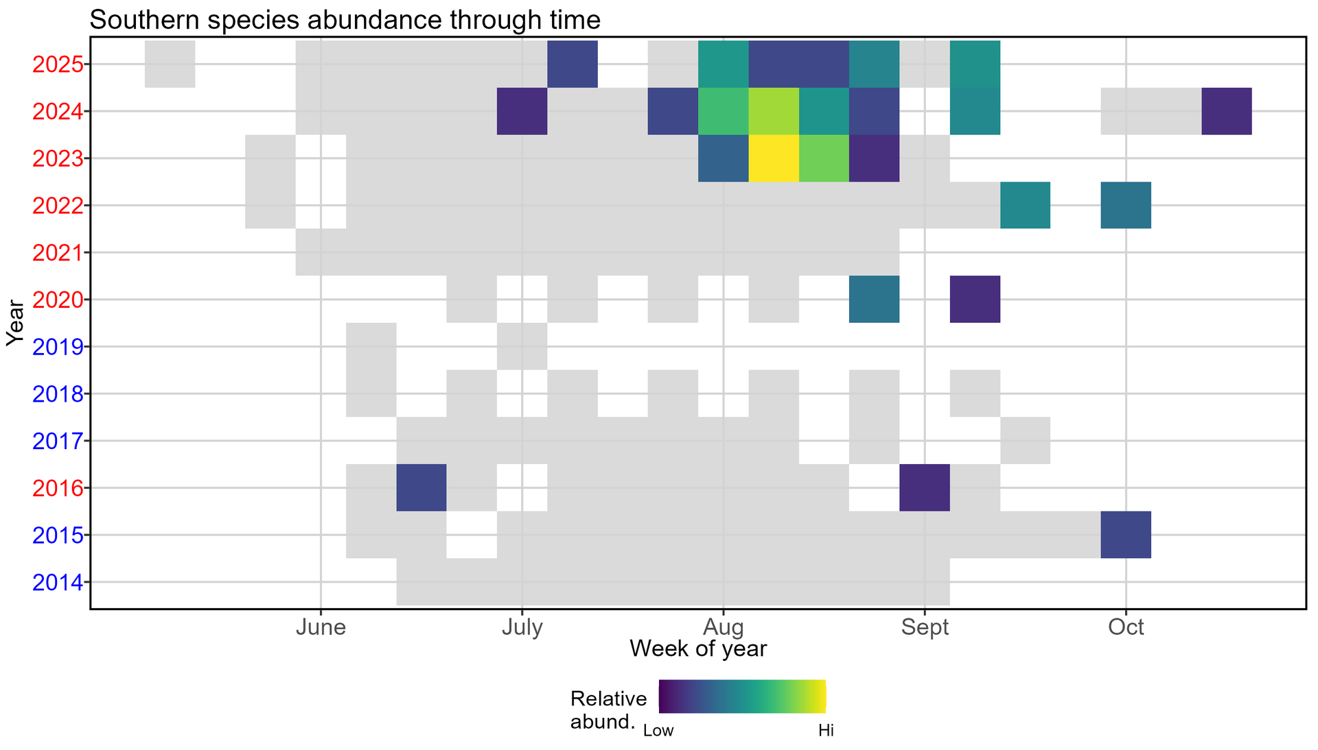 Figure 5. “Southern species” (summer flounder, white mullet, Atlantic moonfish, crevalle jack, permit, and spot) relative abundance during CBASS seine survey operations, 2014-2025. The color of the year on the vertical axis indicates whether that year had anomalously warm temperatures (red) or anomalously cool temperatures (blue) as compared to 2003-2020 Portland Harbor Tide Gauge averages. Each colored cell indicates the relative abundance of the fish within the southern species group for one week of the sampling season. Cooler colors (purples and blues) indicate that relatively few fish were caught in that week, while warmer colors (yellows) indicate that relatively many fish were caught. Gray indicates that seine surveys were conducted, but no fish of the specified group were observed.