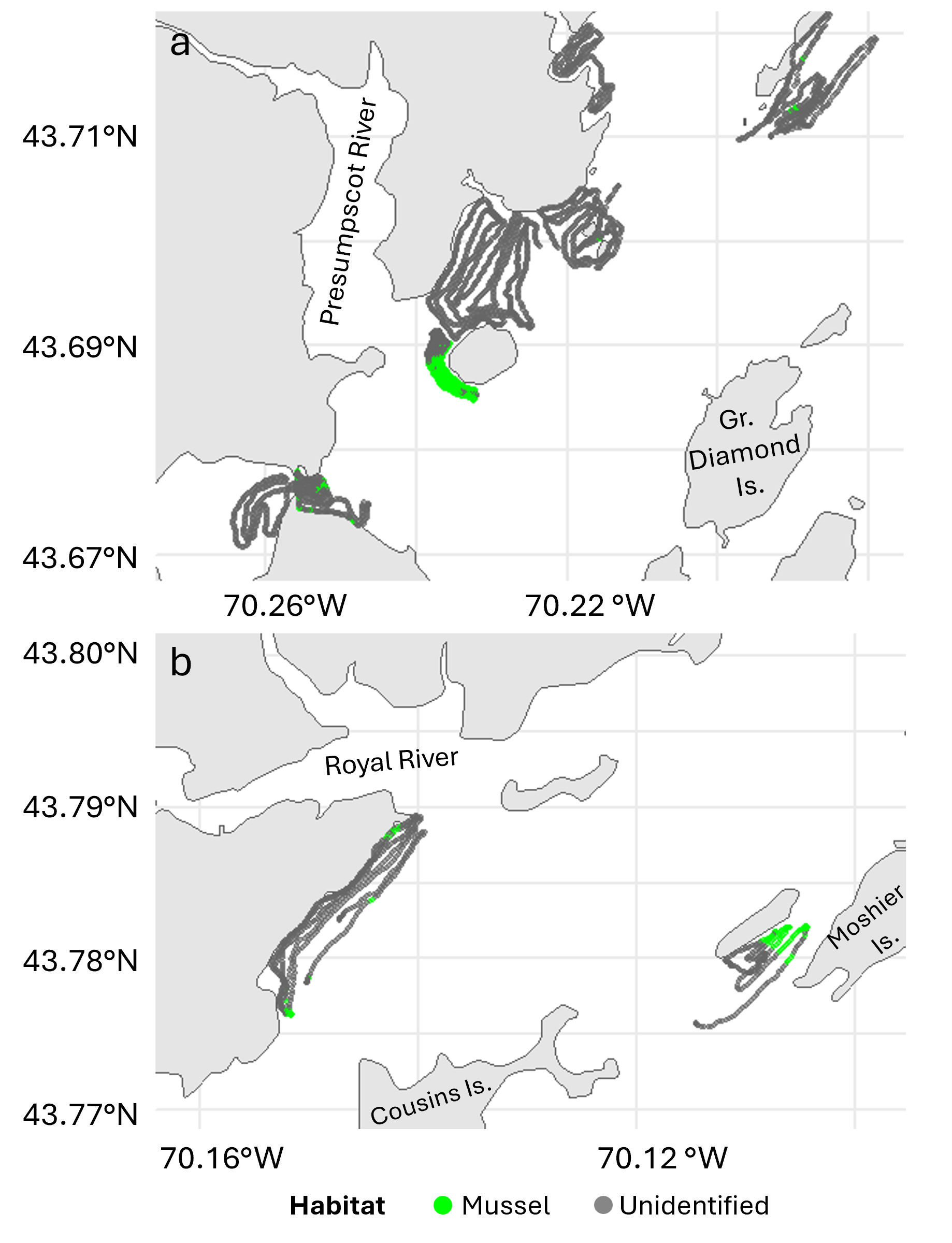 Figure 9. Mussel bed presence derived from acoustic transects completed in 2025 in Western Casco Bay. Surveyed areas include a) near the mouth of the Presumpscot River and b) near the mouth of the Royal River. Green points indicate ground-truthed subtidal mussel beds, and gray points indicate unidentified habitat unlikely to contain live mussels.