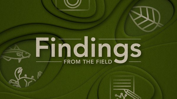 Findings from the Field