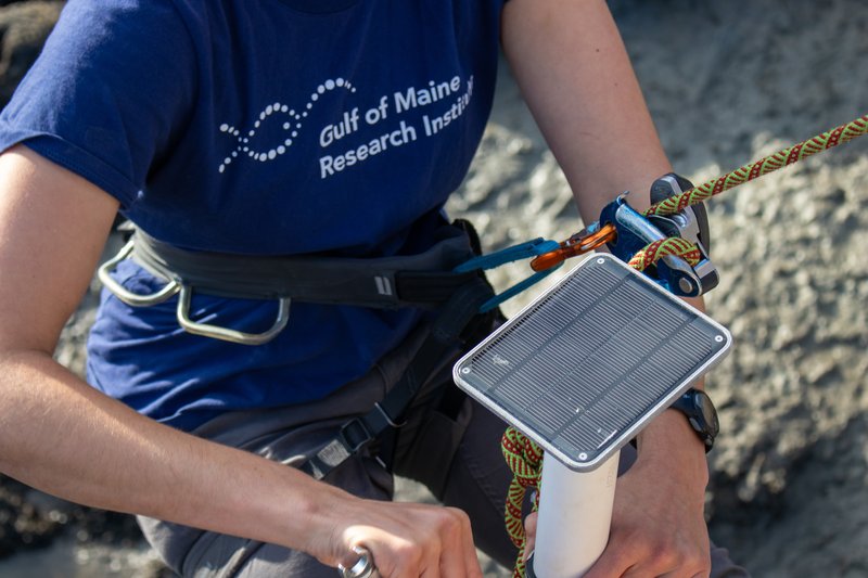 A tide gauge is being installed by a researcher.