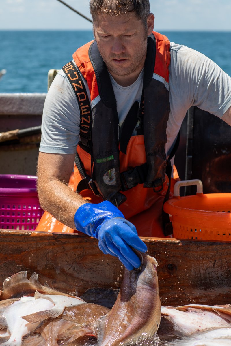 A fisherman sorting through his catch of flat fish.