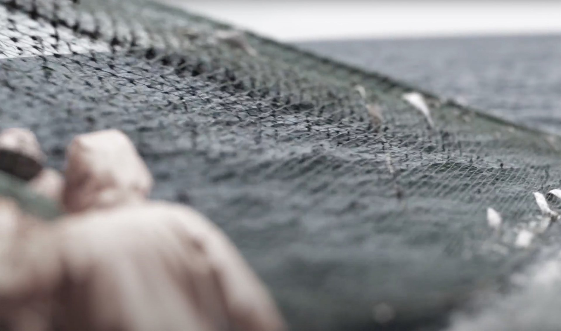 A stylized photo of fishermen on a vessel pulling a net from the ocean