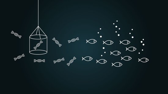 Molecular Lab Launch