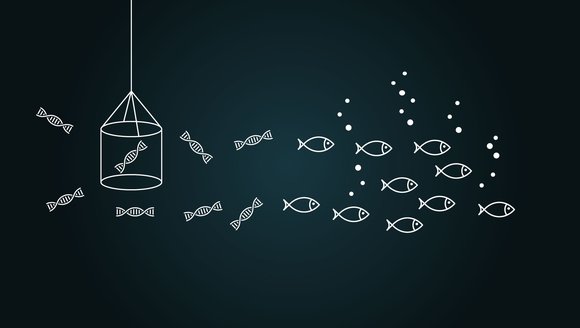 Molecular Lab Launch