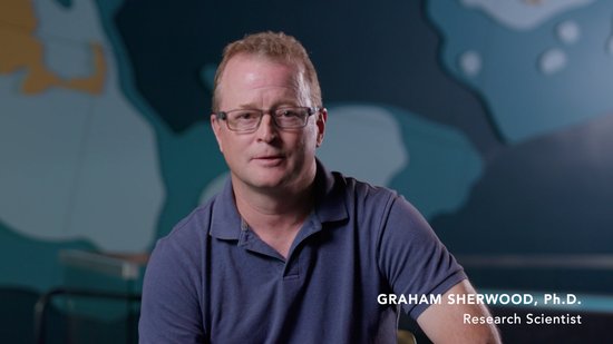 Gulf of Maine, Explained: Environmental DNA (eDNA)