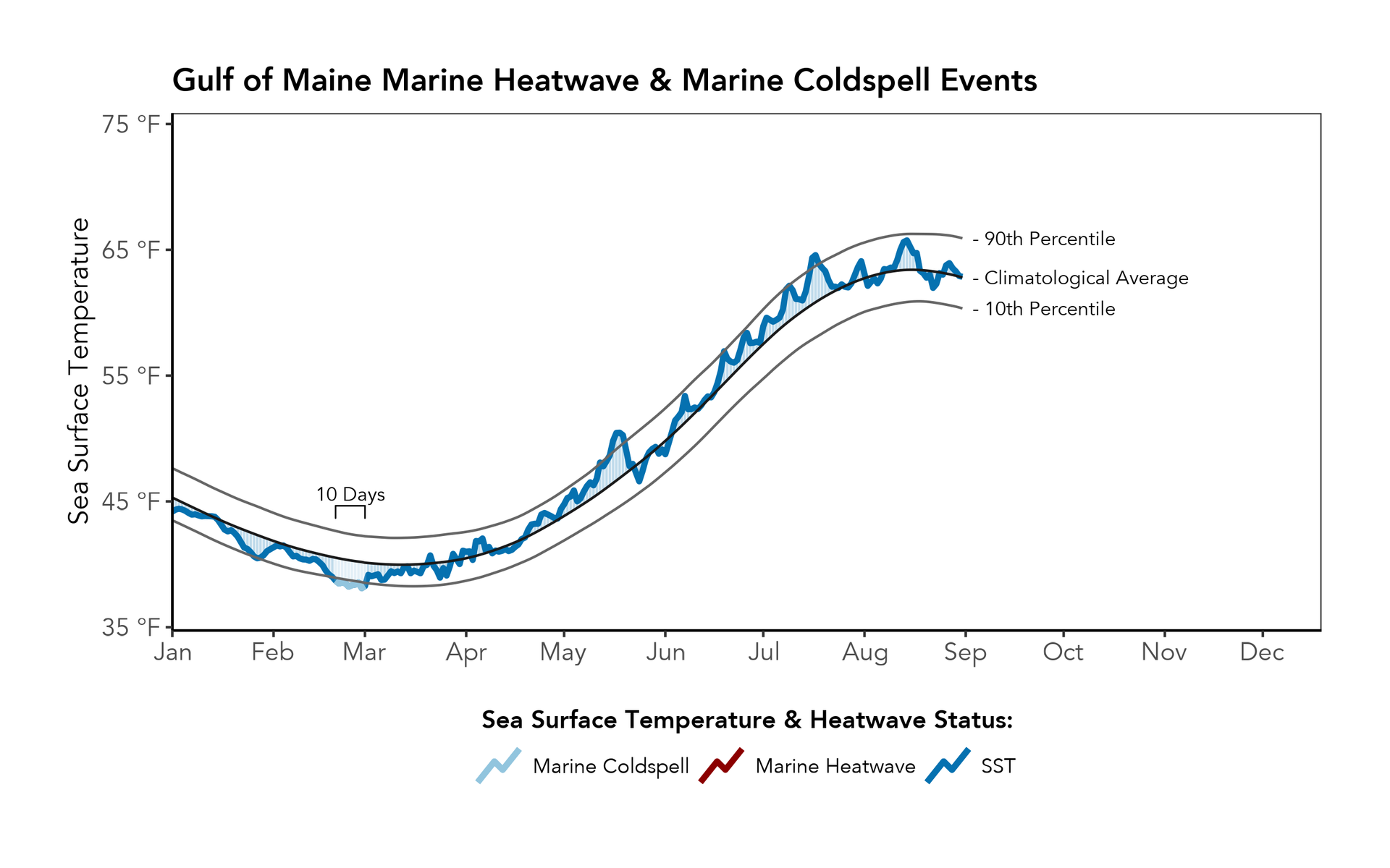 Figure 3. Time series of SSTs in the Gulf of Maine extending from January 1, 2025 through August 31, 2025. Black lines represent the long-term (i.e., 1991 – 2020) average SST, the 10th percentile, and 90th percentile for a given day in the Gulf of Maine. A solid line (red for marine heatwave, light blue for marine coldspells, or blue for non-event SSTs) indicates the observed SST this year. Red (above 90th percentile) and light blue (below 10th percentile) shading illustrates how far the observed SST is from the climatological average.
