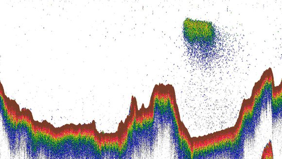A graph with many different colors.