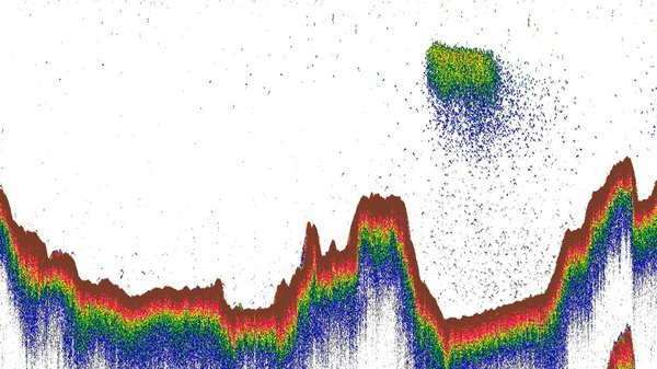 Environmental DNA Validation