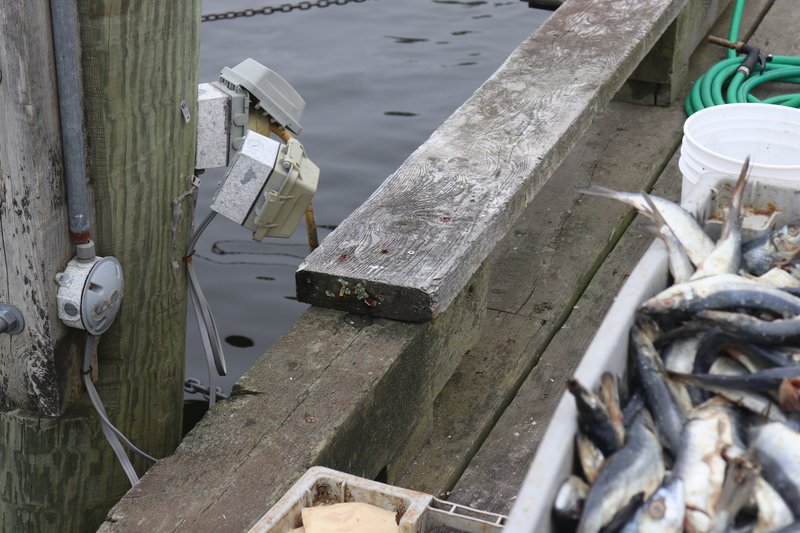 Electrical outlets on a wharf are close to the water.
