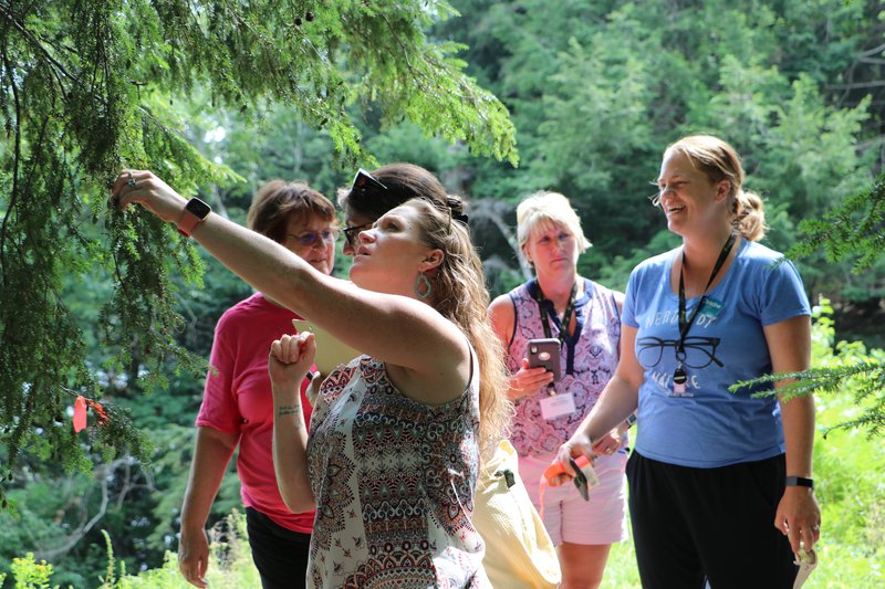 Teachers gather outside in a circle as another reaches up to observe a green tree branch.