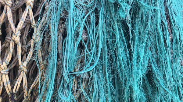 Future Fisheries Experience