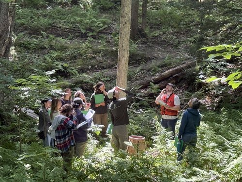 Community science wrapped 2025 6