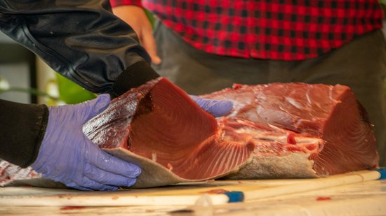 Tuna School: Crash Course on a Local Delicacy