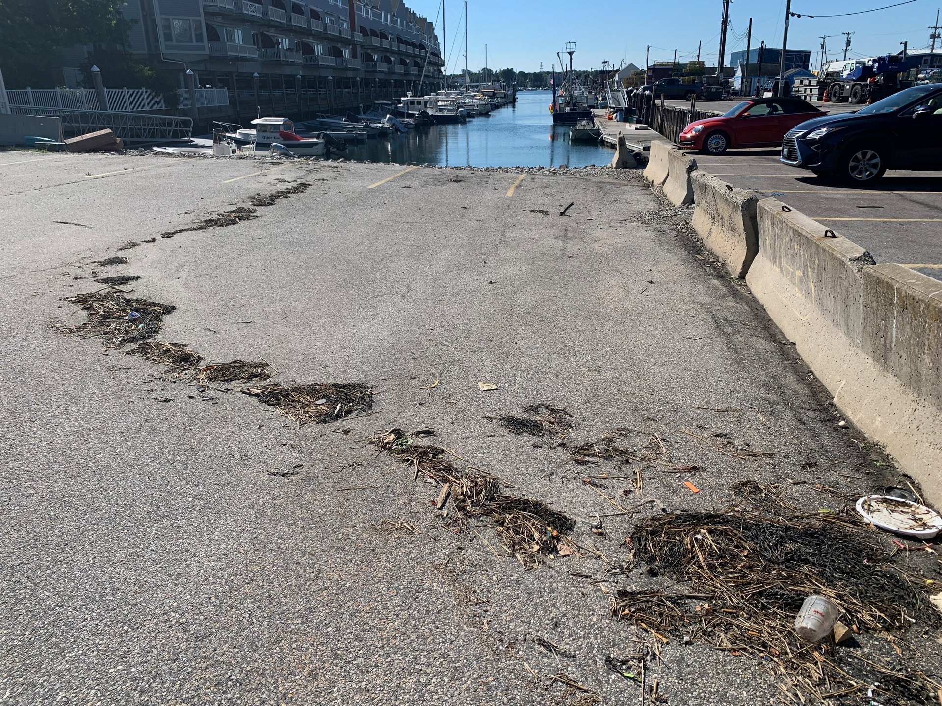 This is a picture of a recently flooded parking lot, with seaweed outlining the extent of the water's reach.
