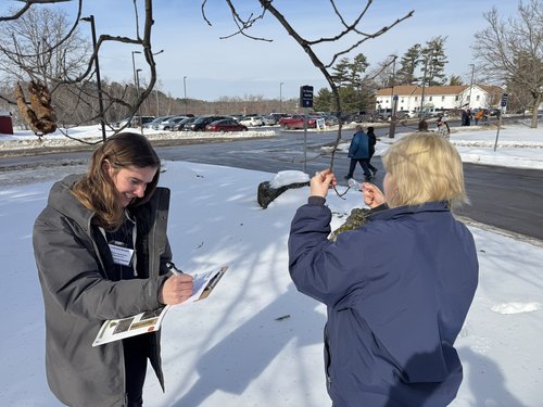 Teachers study a tree.