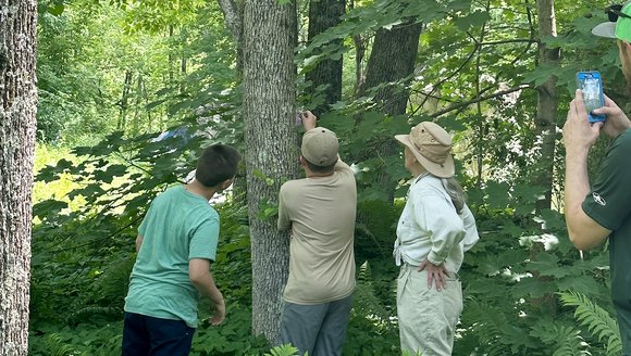 Getting Youth Involved in Monitoring Ash Trees