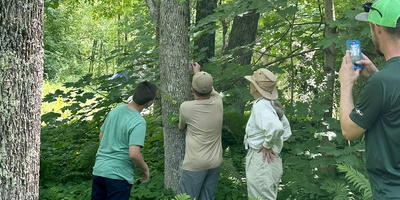 Getting Youth Involved in Monitoring Ash Trees