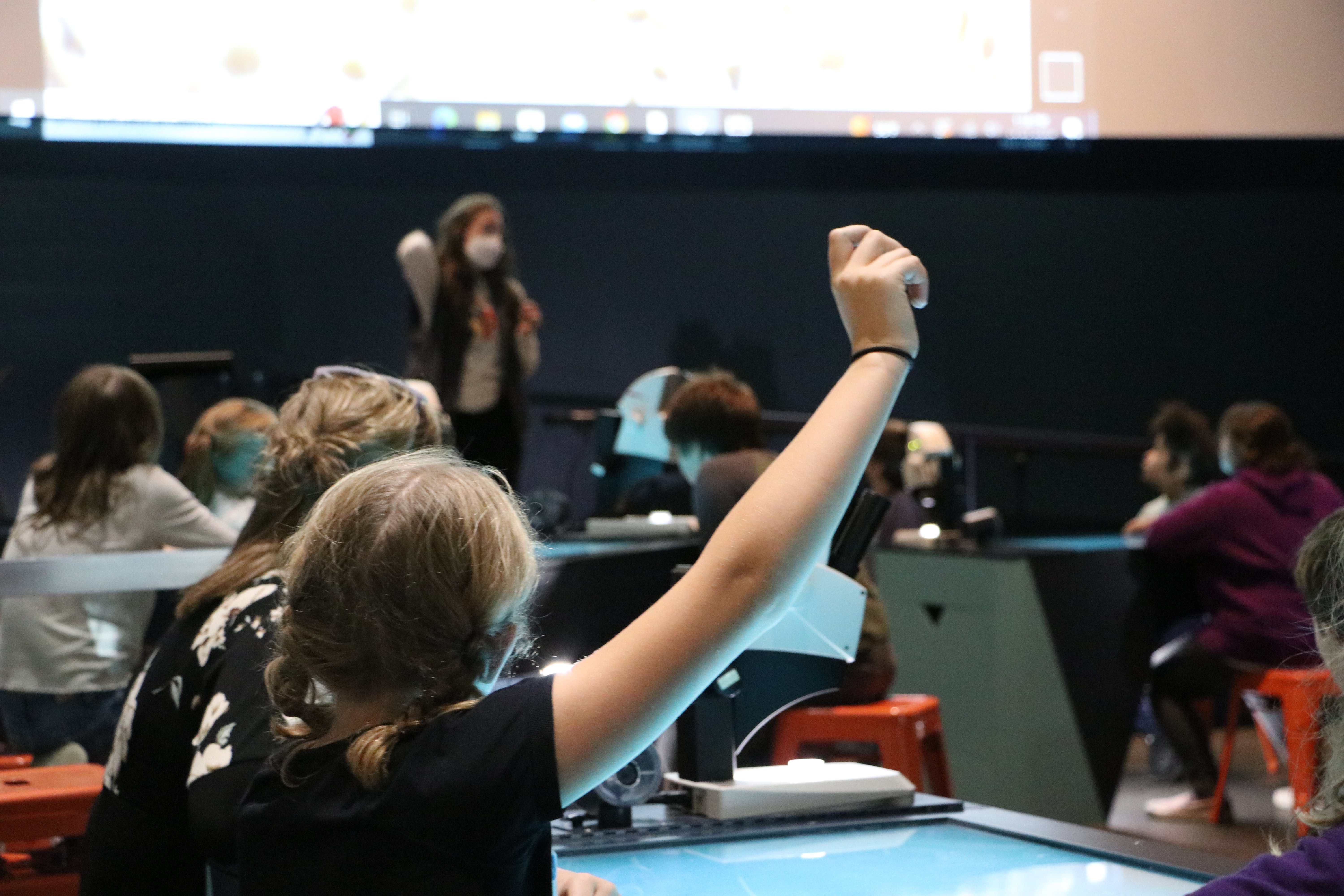 A student raises their hand